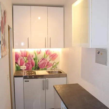 4 Moderne Fewo Nowak-Bals Zur Auswahl Braunlage Room photo