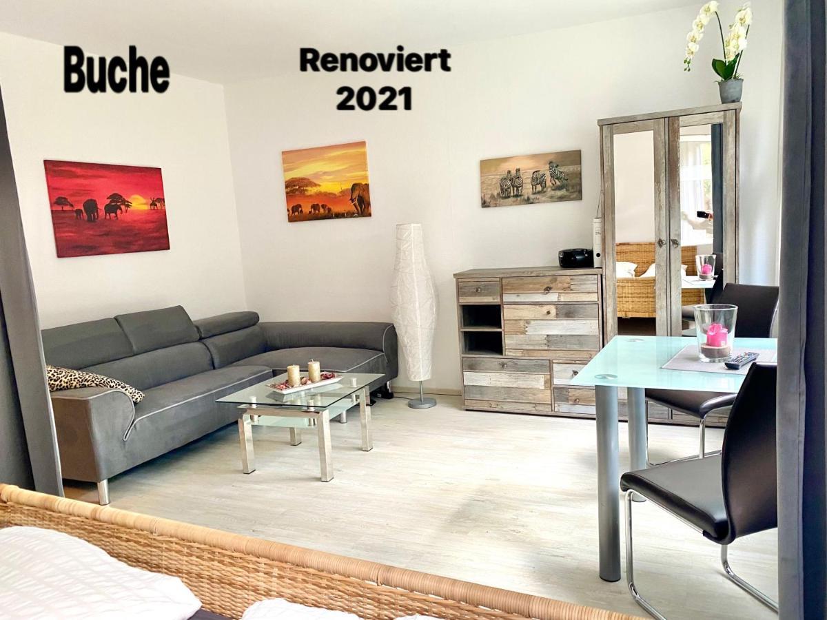 4 Moderne Nowak-bals Zur Auswahl Braunlage