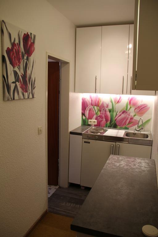 4 Moderne Nowak-bals Zur Auswahl Apartment Braunlage